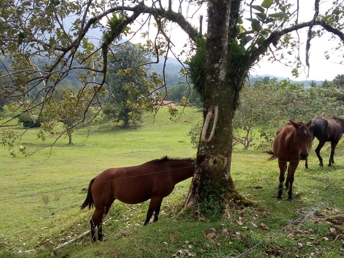 Casona Rustica &