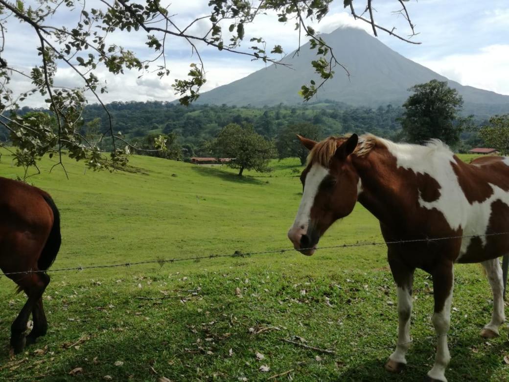 Gasthof Casona Rustica & La Fortuna