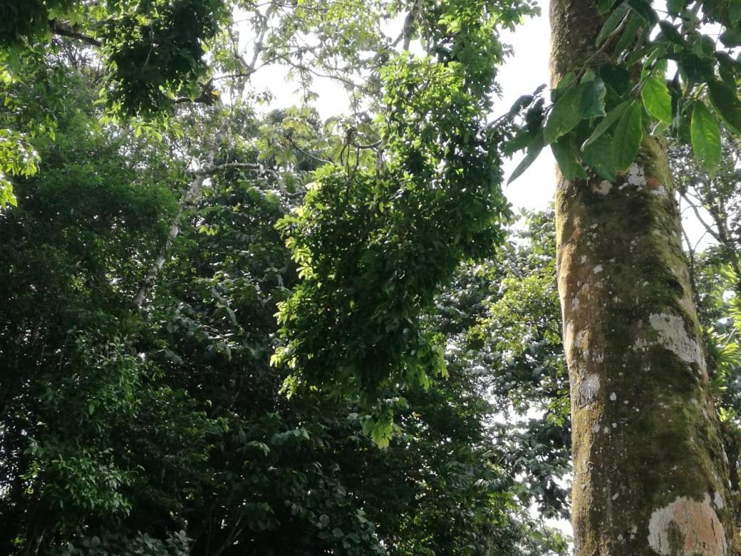 Casona Rustica & Gasthof La Fortuna
